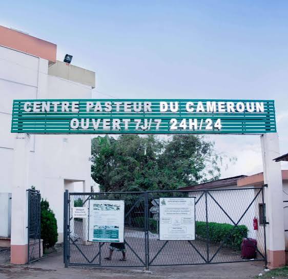Centre Pasteur du Cameroun : Le Laboratoire de Mycobactériologie renouvelle son accréditation ISO 15189 et conforte son statut de référence régionale